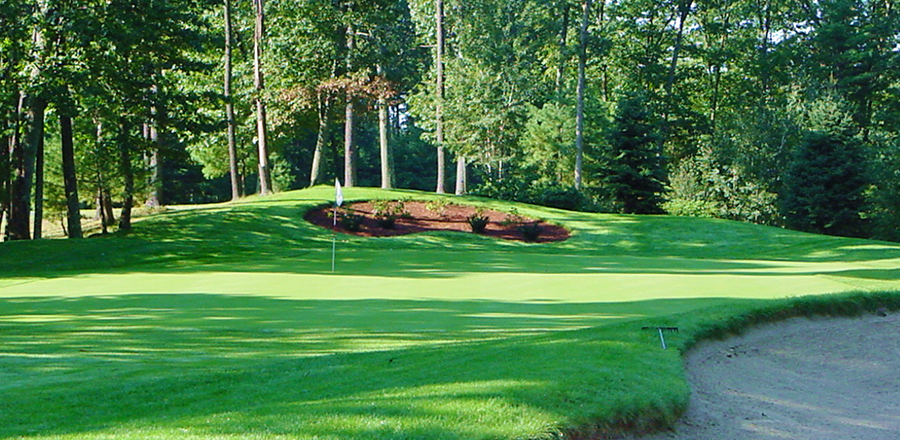View of Golf Course Green